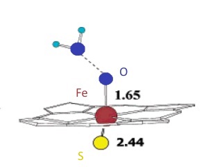 drawing of heme structure